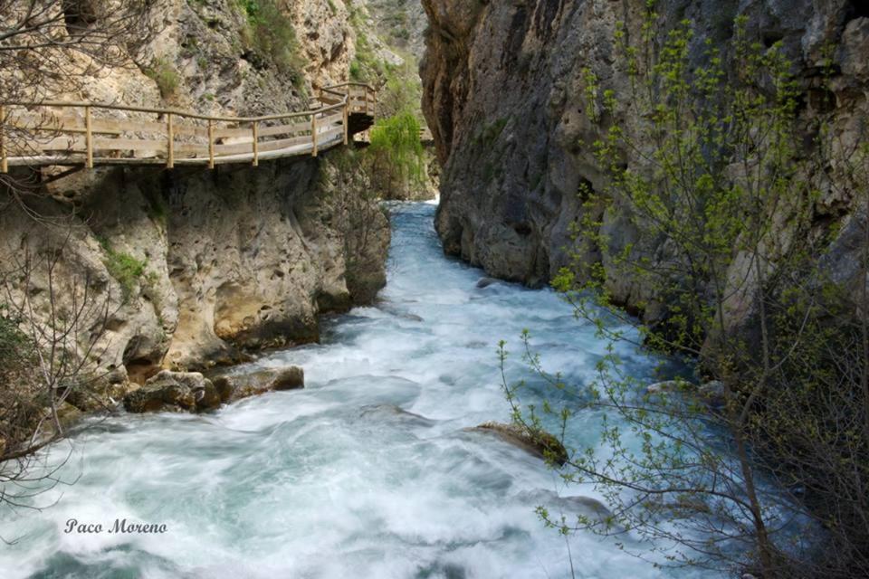 Alojamiento Rural, Cueva De La Abuela Cuevas del Campo Εξωτερικό φωτογραφία