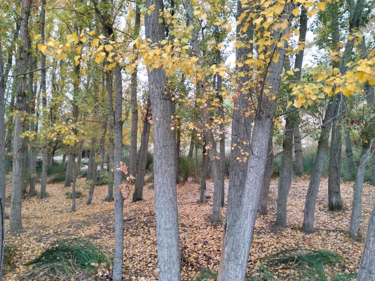 Alojamiento Rural, Cueva De La Abuela Cuevas del Campo Εξωτερικό φωτογραφία