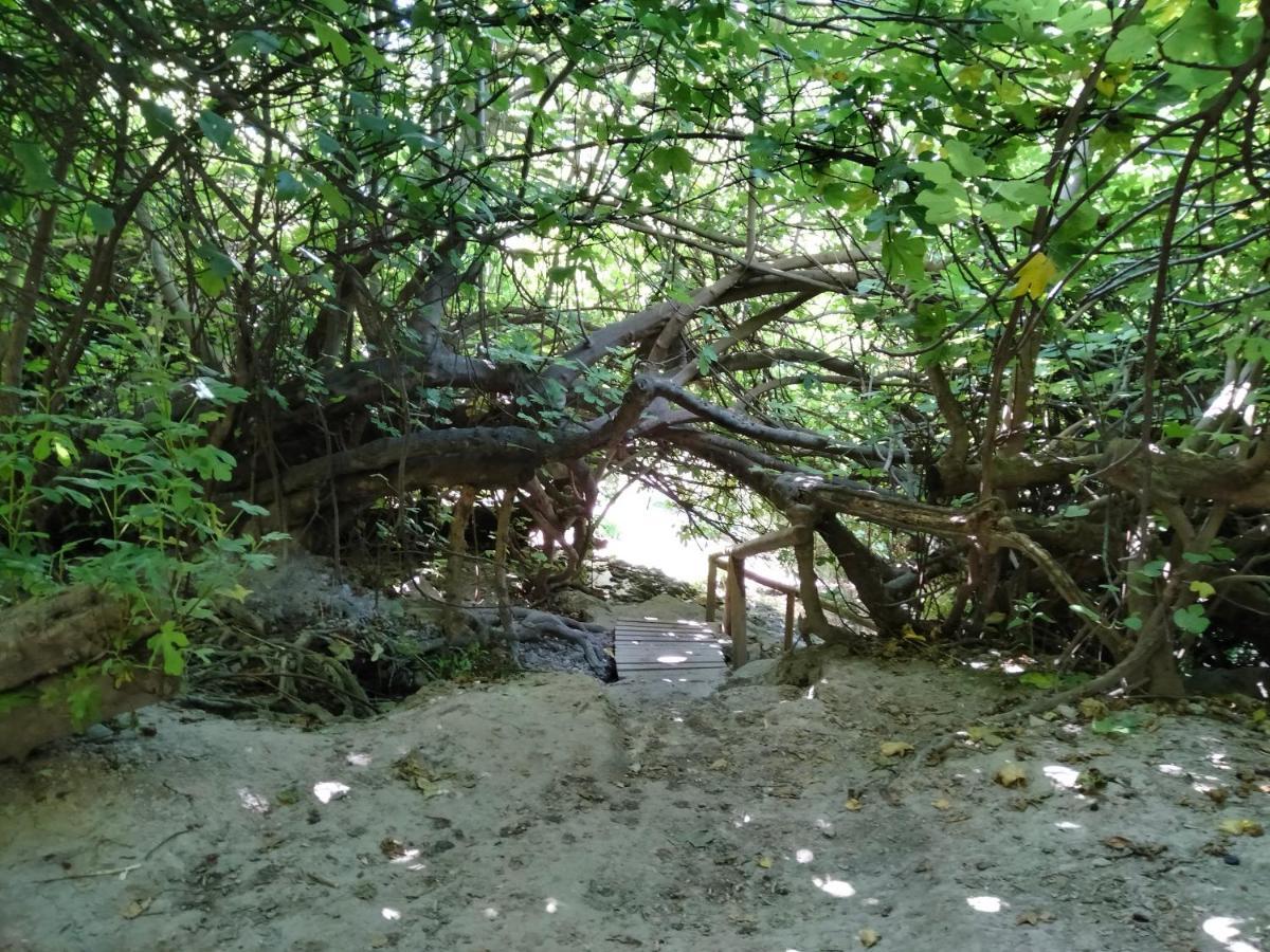 Alojamiento Rural, Cueva De La Abuela Cuevas del Campo Εξωτερικό φωτογραφία
